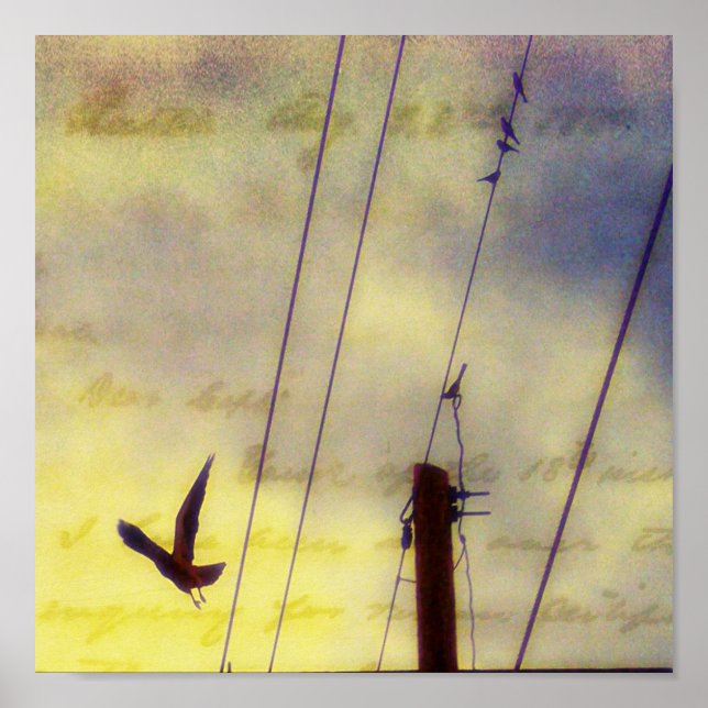 Póster Voar (Frente)