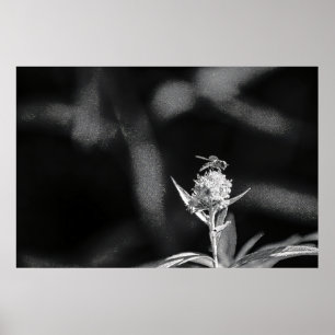 Poster Voar apenas ouro