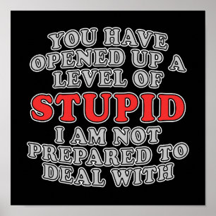 Póster Você Abriu Um Nível De Estúpido