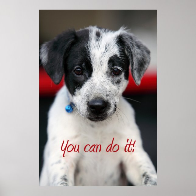 Poster Você consegue! (Frente)