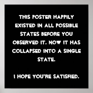 Póster Você desmoronou ele! Humor da física de quantum