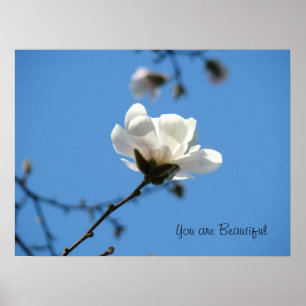 Póster Você é arte de pôster Beautiful céu azul magnólia