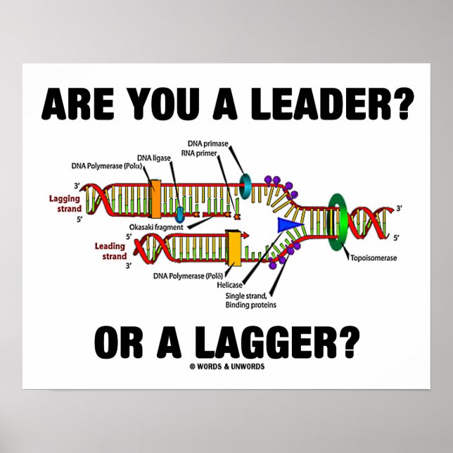 Póster Você É Líder? Ou Um Lagger? Geek DNA Humor (Frente)