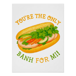 Póster Você é o único Banh para Mi!
