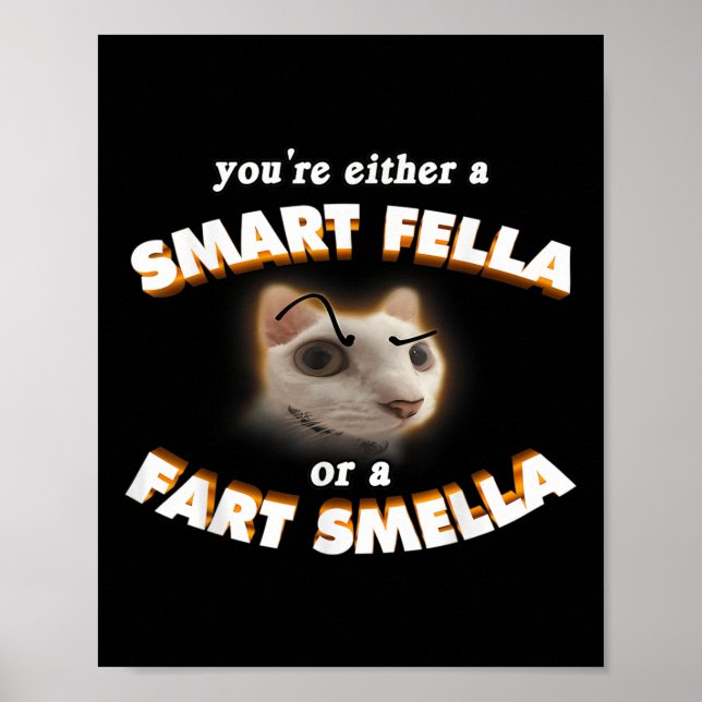 Poster Você É Um Gato Esperto Ou Um Fart Smella Meme (Frente)