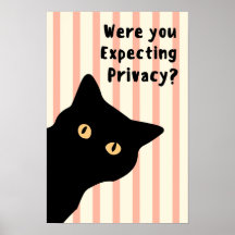 Você Esperava Privacidade Gato Engraçado Parede Ba