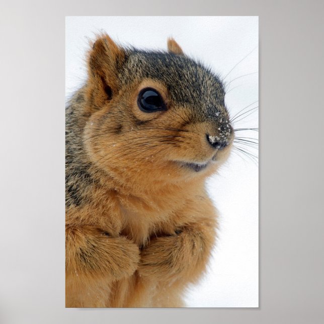 Póster Você Está Falando Comigo? (Frente)