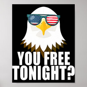 Poster Você Livre Esta Noite Bandeira Americana Águia Pat