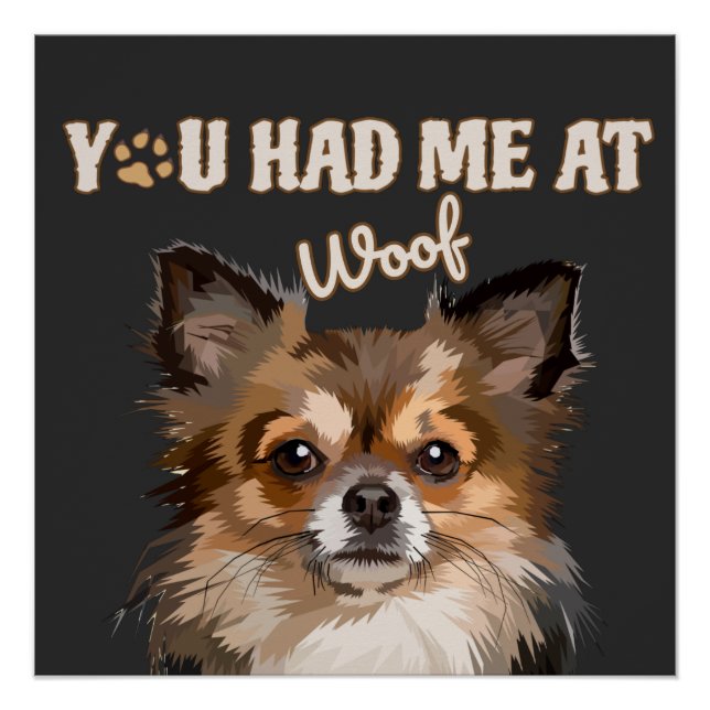 Póster Você Me Teve No Meio | Pomeranianos De Cães (Frente)
