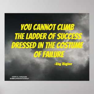 POSTER VOCÊ NÃO PODE LIMPAR O LADDER ZIGLER