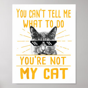 Poster Você não pode me dizer o que fazer - Kit Engraçado