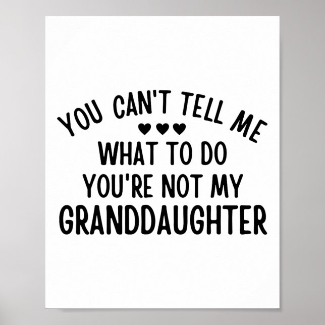 Poster Você não pode me dizer o que fazer você &# não é  (Frente)