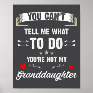 Poster Você Não Pode Me Dizer O Que Fazer Você Não É Meu