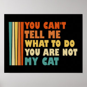 Poster Você Não Pode Me Dizer O Que Fazer Você Não É Meu 
