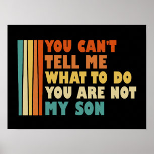 Poster Você Não Pode Me Dizer O Que Fazer Você Não É Meu 