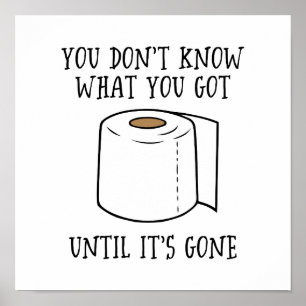 Poster Você não sabe o que tem até que se foi.