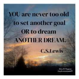 PÓSTER VOCÊ NUNCA ESTÁ VELHO DEMAIS