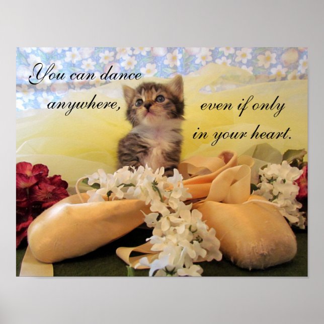 Poster Você Pode Dançar Em Qualquer Lugar, Gato / Gato Po (Frente)