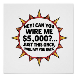 Póster Você Pode Me Transferir $5.000...