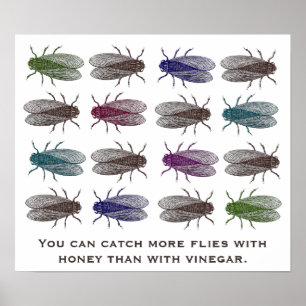 Poster Você pode pegar mais moscas com mel do que vinagre