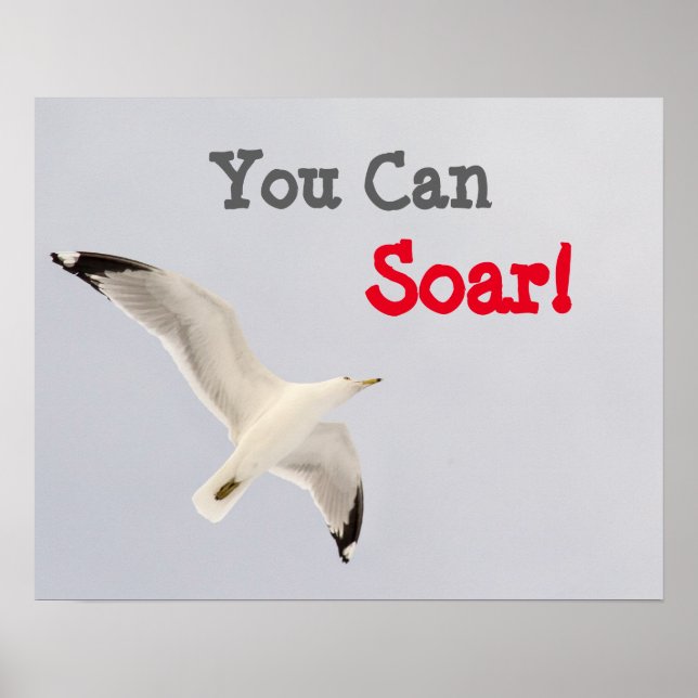Póster Você Pode Soar! (Frente)