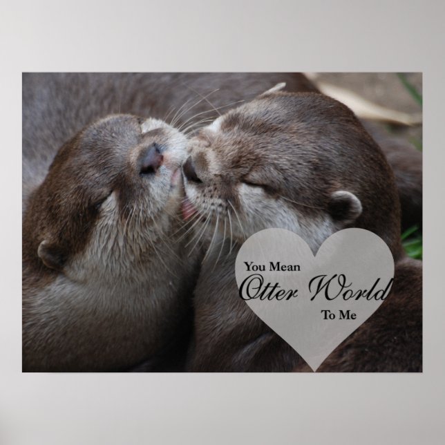Poster Você Quer Dizer Mundo Mais Longo Para Mim, Otters  (Frente)