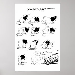 Póster Você rato sujo!