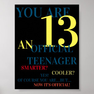 Poster Você tem 13 anos de idade, adolescente oficial