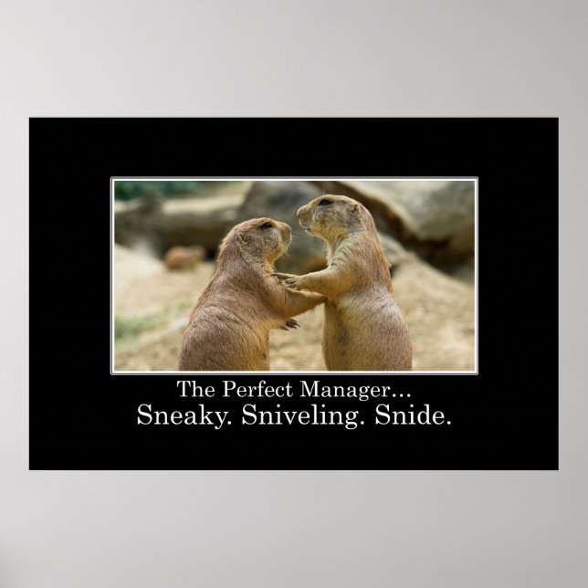 Póster Você tem todas as qualidades de um gerenciador de  (Frente)