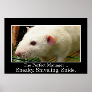 Póster Você tem todas as qualidades de um gerente do