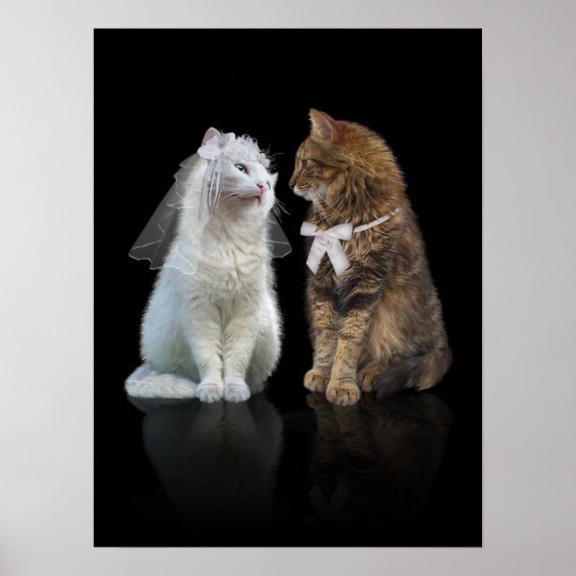 Poster Você vai me mijar? (Frente)