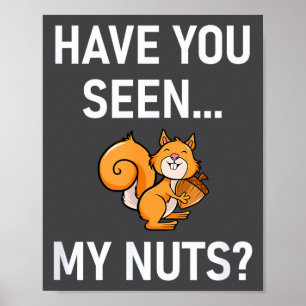 Poster Você Viu Minhas Nozes, Piada de Esquilo Engraçada,