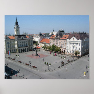 Poster Vojvodina de Novi Sad