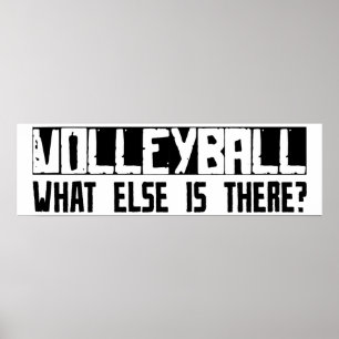 Poster Voleibol que outro está lá?