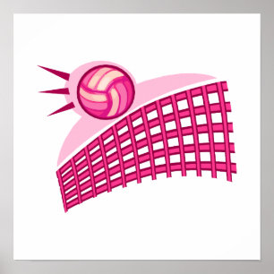 Poster Voleibol & rede
