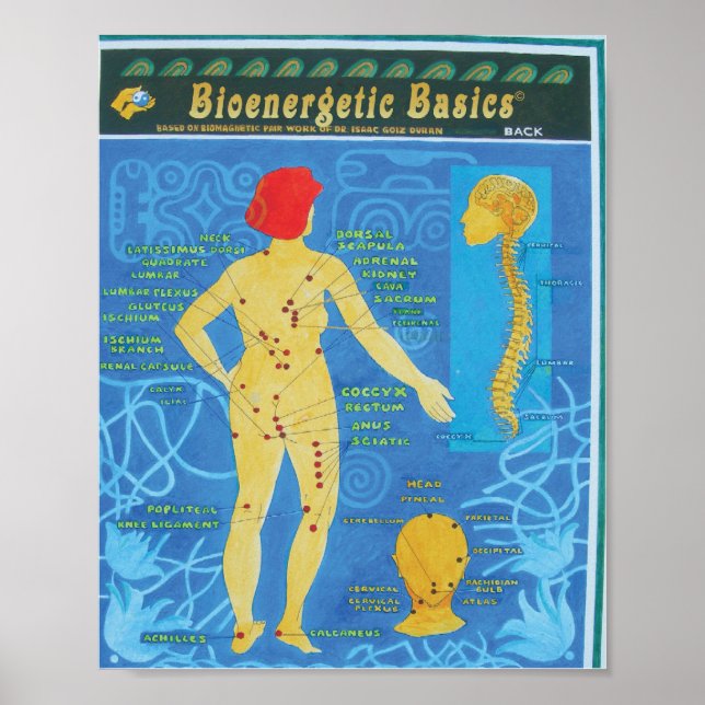 Póster Voltar (Frente)