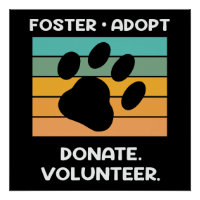 Voluntário para o Bem-Estar dos Animais