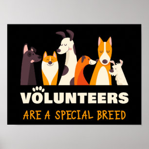 Poster Voluntários são abrigo especial de resgate de cães