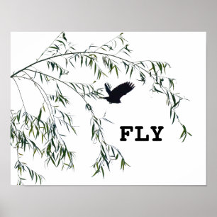Poster Voo