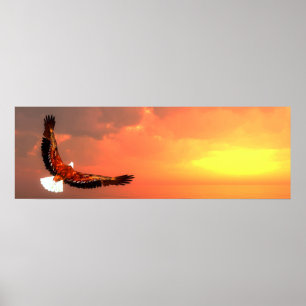 Poster Voo da águia-calva