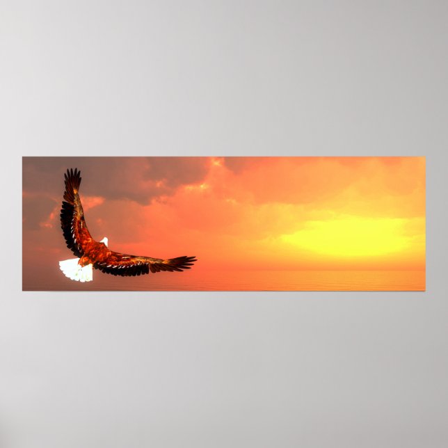 Poster Voo da águia-calva (Frente)