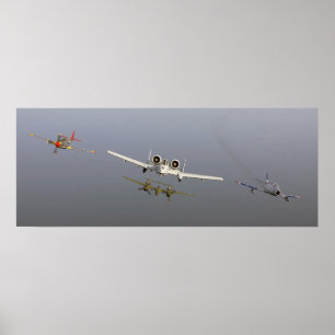 Póster Vôo da herança