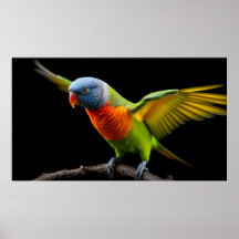 🌈 Voo da Liberdade Lorikeet - Arco-íris Dinâmico
