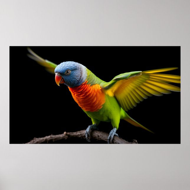 Poster 🌈 Voo da Liberdade Lorikeet - Arco-íris Dinâmico (Frente)