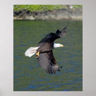 PÓSTER VOO DE ÁGUA