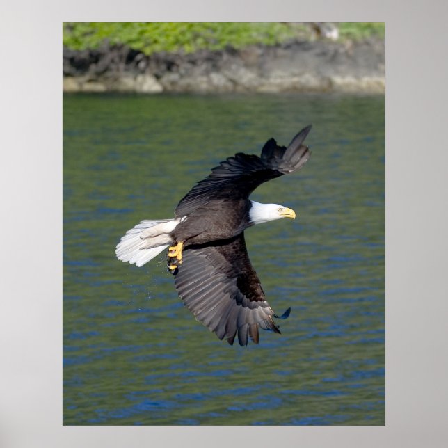 PÓSTER VOO DE ÁGUA (Frente)