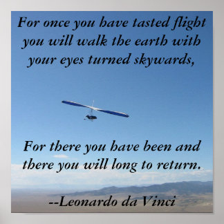 Póster Voo de Planeamento de Travagem