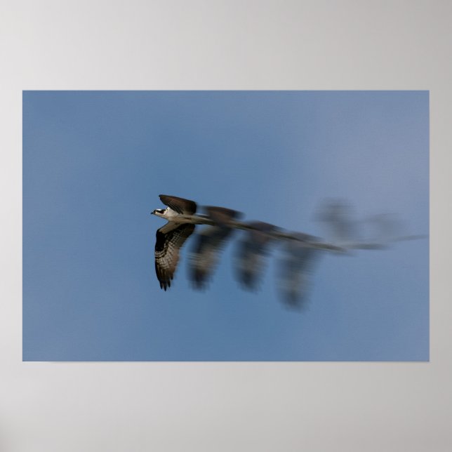 Poster Voo do Osprey (Frente)