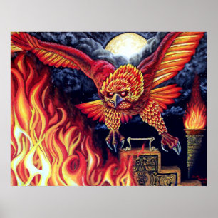 Poster Vôo do Phoenix