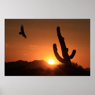Póster Vôo do por do sol